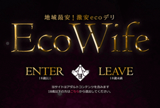 Eco Wife・熟女風俗
